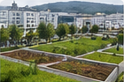 Urban park and green roofs