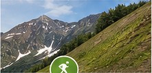 Revegetated mountain ski run